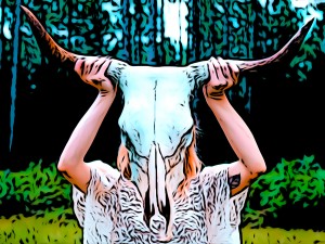 Cow Skull